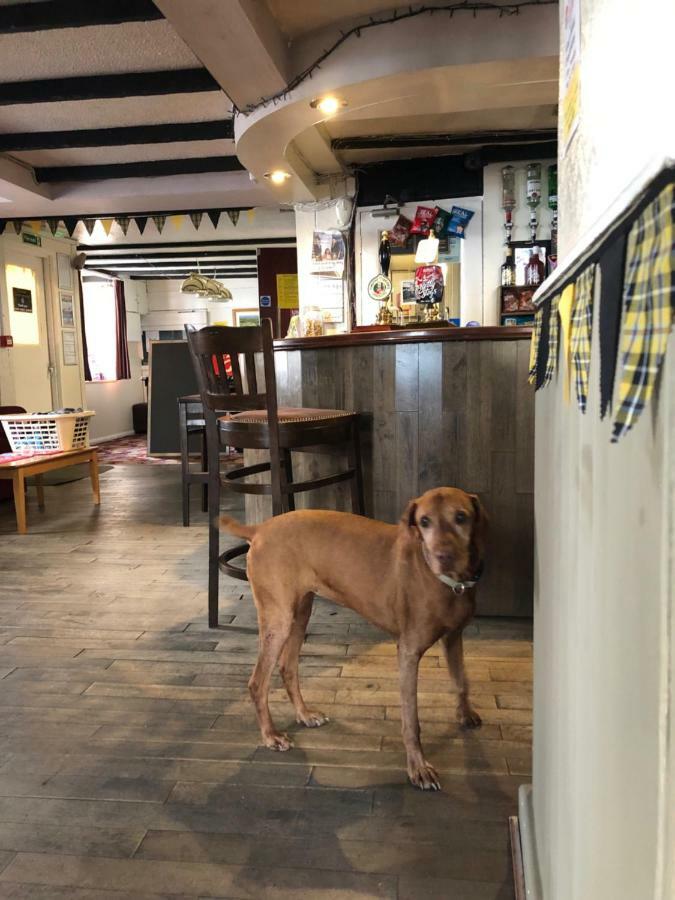 The Kings Head Hotell Chacewater Exteriör bild